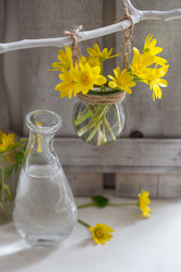 Similar image 21437255