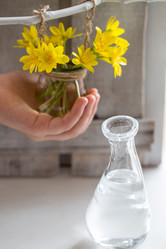 Similar image 21437256