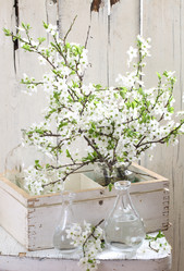 Similar image 21437259