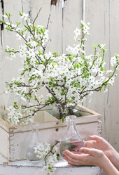 Similar image 21437260