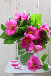 Similar image 21437262