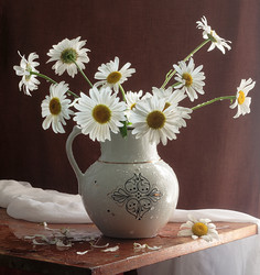 Similar image 21437265