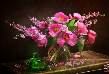 Similar image 21437279