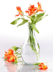 Similar image 21437282