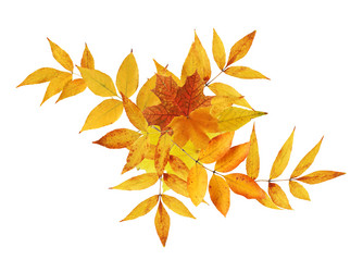 Similar image 21471193