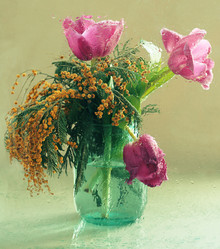 Similar image 21437290