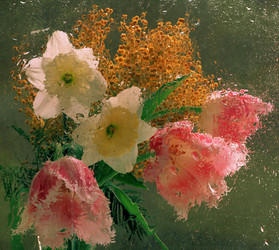 Similar image 21437291