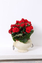 Similar image 21437303