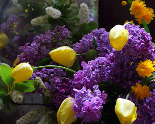 Similar image 21437304