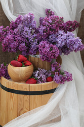 Similar image 21437306