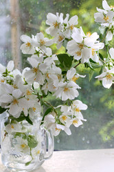 Similar image 21437307