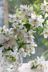 Similar image 21437308