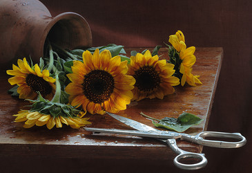 Similar image 21437313