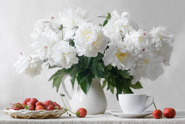 Similar image 21437315