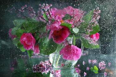 Similar image 21437316