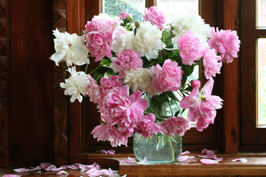 Similar image 21437318