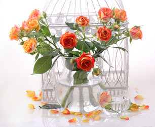 Similar image 21437320