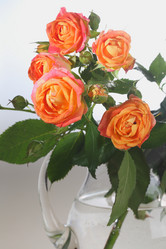 Similar image 21437321