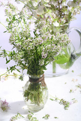 Similar image 21437329