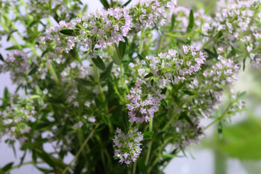 Similar image 21437330