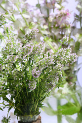 Similar image 21437331