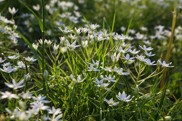 Similar image 21476669