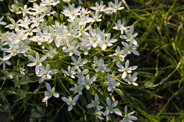 Similar image 21476670