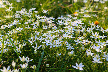 Similar image 21476672