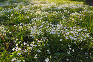 Similar image 21476673