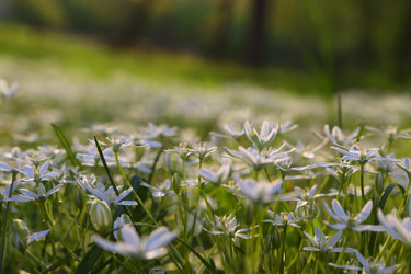 Similar image 21476674