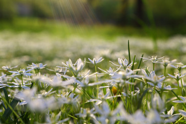 Similar image 21476675