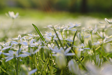 Similar image 21476677