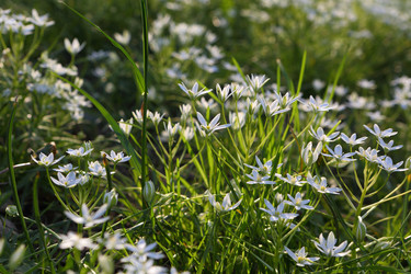 Similar image 21476678