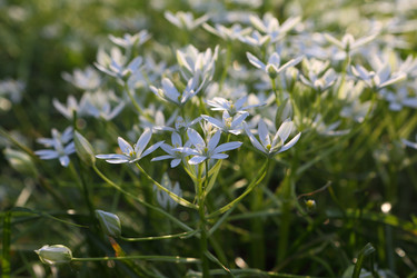 Similar image 21476679