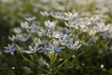 Similar image 21476680