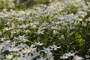 Similar image 21476681