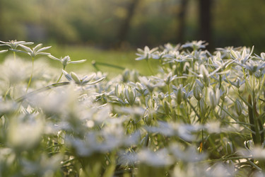 Similar image 21476683