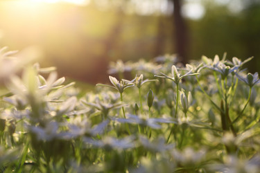 Similar image 21476684