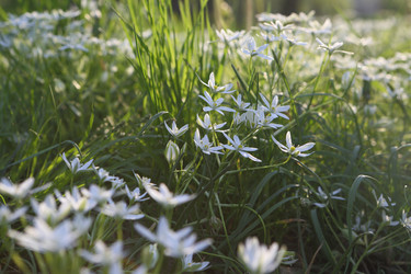 Similar image 21476685