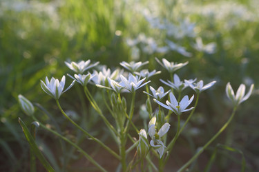 Similar image 21476686