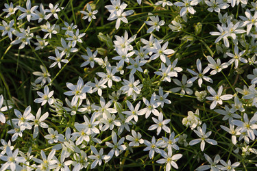 Similar image 21476687