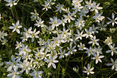 Similar image 21476688