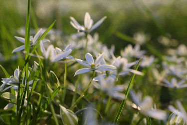 Similar image 21476689