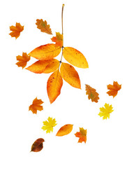 Similar image 21470054