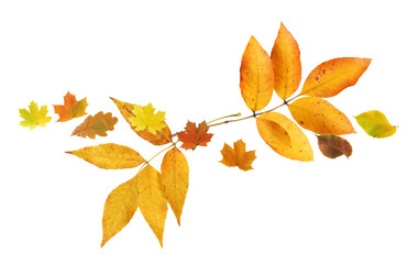 Similar image 21470056