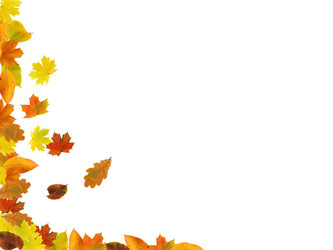 Similar image 21470057