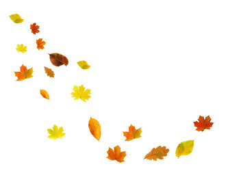 Similar image 21470720