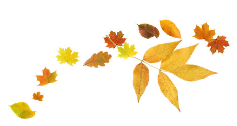 Similar image 21470722