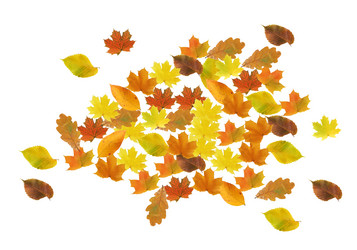 Similar image 21470723