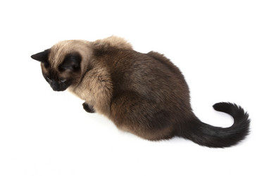 Similar image 21465419